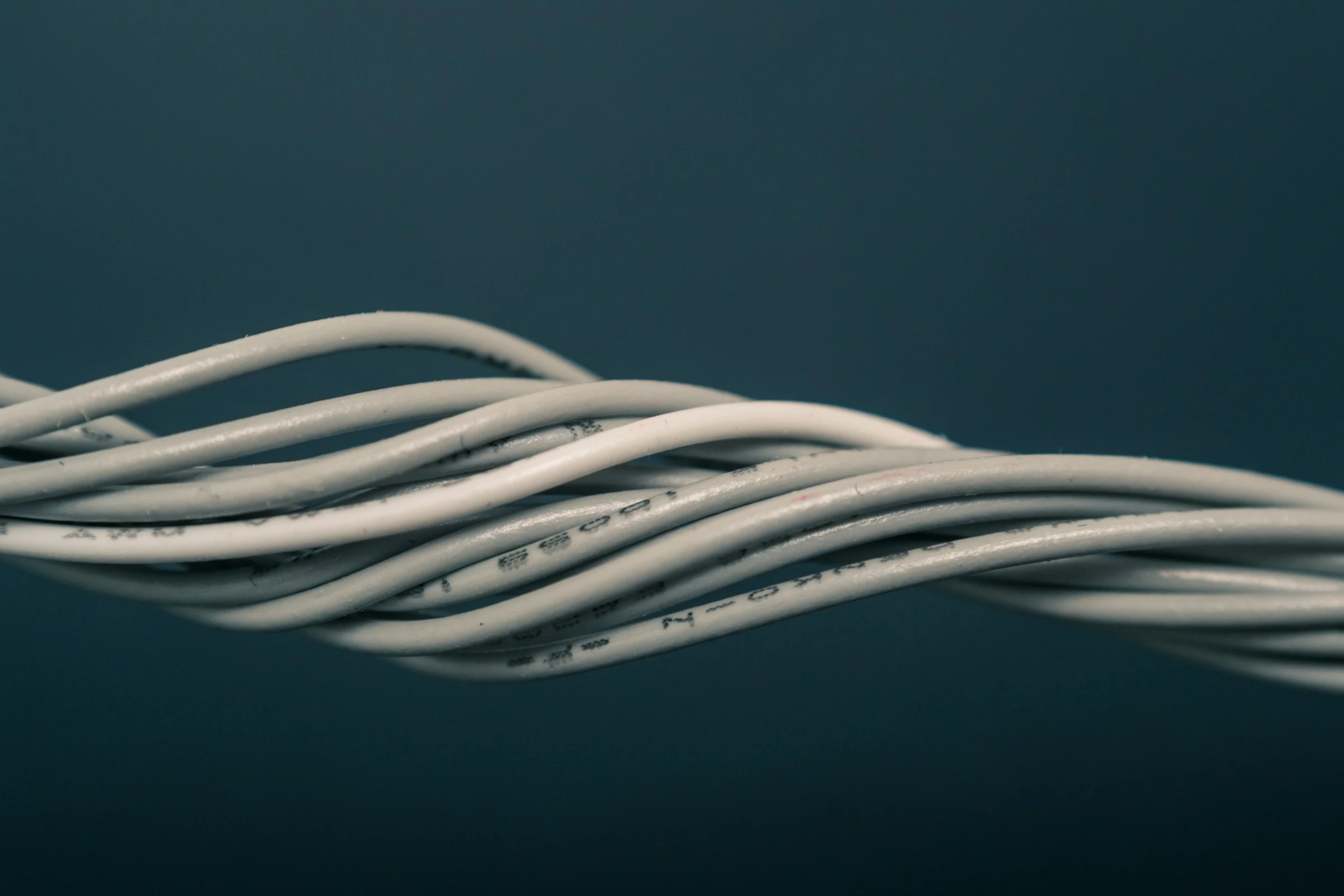 Twisted network cables against a dark background